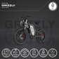 Daxys Grizzly E-Mountain Bike 20''